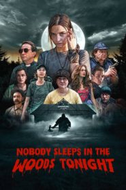 Nobody Sleeps in the Woods Tonight (2020) Sinhala Subtitles | සිංහල උපසිරසි සමඟ