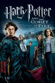 Harry Potter and the Goblet of Fire (2005) Sinhala Subtitles | සිංහල උපසිරසි සමඟ