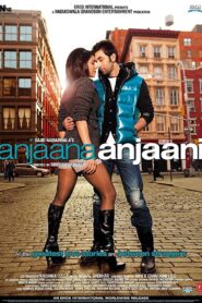 Anjaana Anjaani (2010) Sinhala Subtitles | සිංහල උපසිරසි සමඟ