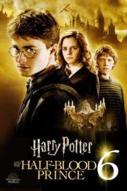 Harry Potter and the Half-Blood Prince (2009) Sinhala Subtitles | සිංහල උපසිරසි සමඟ