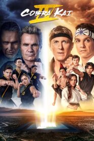 Cobra Kai: Season 4