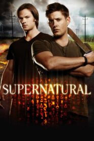Supernatural: Season 8