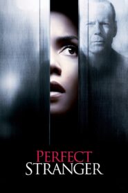 Perfect Stranger (2007) Sinhala Subtitles | සිංහල උපසිරසි සමඟ