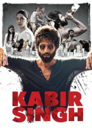 Kabir Singh (2019) Sinhala Subtitles | සිංහල උපසිරසි සමඟ