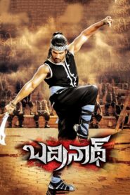 Badrinath (2011) Sinhala Subtitles | සිංහල උපසිරසි සමඟ