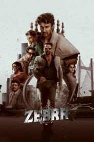 Zebra (2024) Sinhala Subtitles | සිංහල උපසිරසි සමඟ