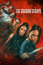 The Shadow Strays (2024) Sinhala Subtitles | සිංහල උපසිරසි සමඟ