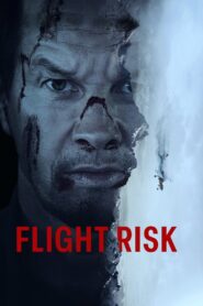 Flight Risk (2025) Sinhala Subtitles | සිංහල උපසිරසි සමඟ