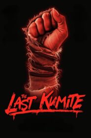 The Last Kumite (2024) Sinhala Subtitles | සිංහල උපසිරසි සමඟ