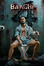 Baaghi 4 (2025) Sinhala Subtitles | සිංහල උපසිරසි සමඟ